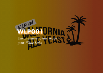 La levure sèche WLP001 de White Labs est disponible